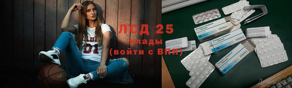 ПСИЛОЦИБИНОВЫЕ ГРИБЫ Алексеевка