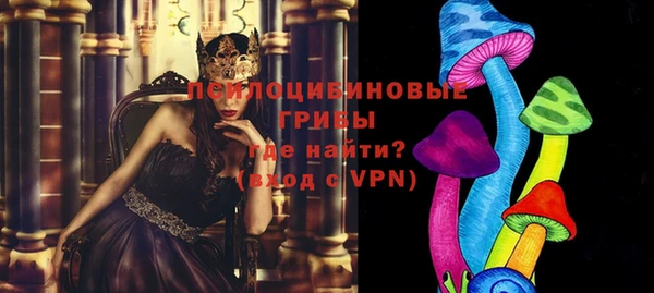 ПСИЛОЦИБИНОВЫЕ ГРИБЫ Алексеевка