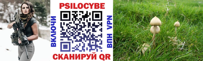 Псилоцибиновые грибы прущие грибы  Бабаево 