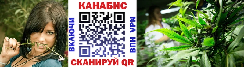 Бошки марихуана планчик  где купить наркотик  Бабаево 
